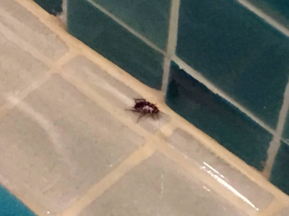 Auch im Bad The Fair House Beach Resort