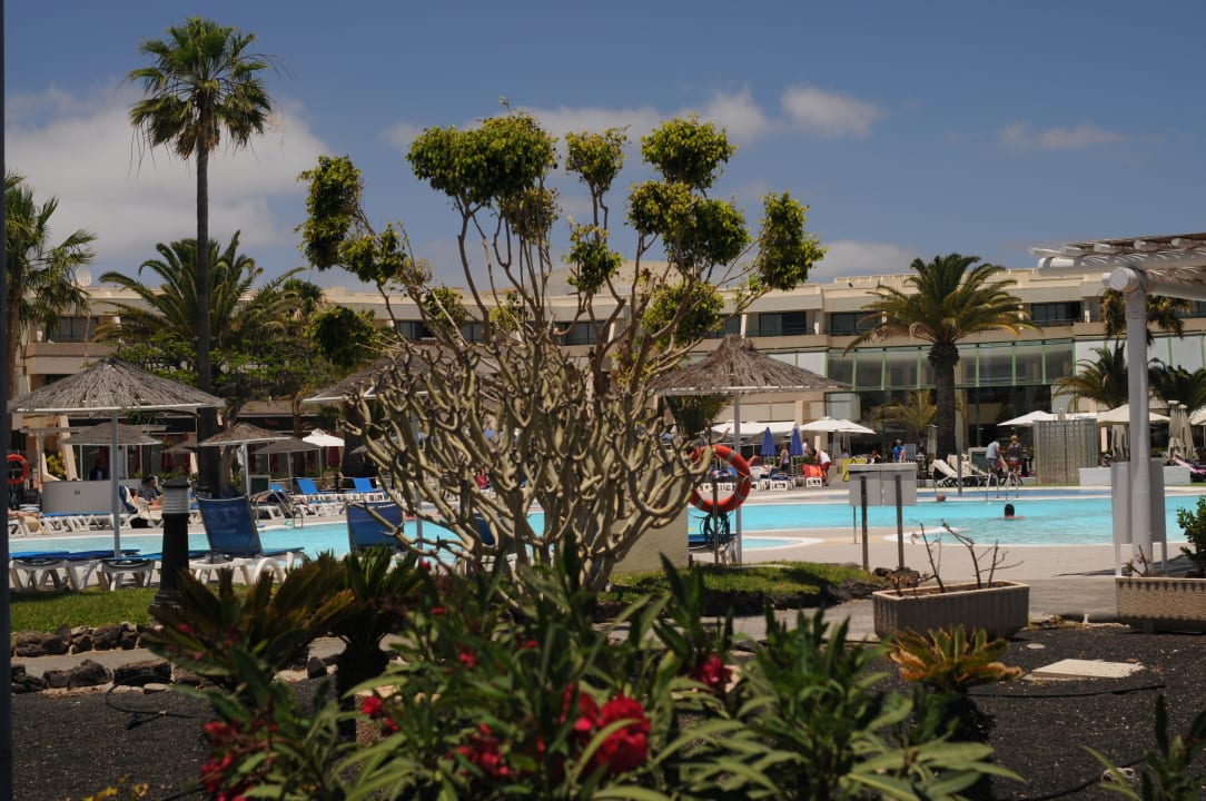 Pool Dreams Lanzarote Playa Dorada Resort & Spa