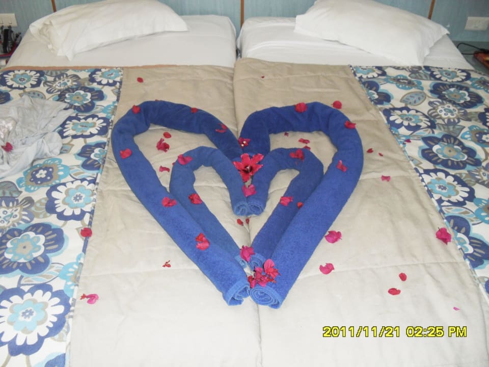 Sauber und Schön  Calimera Yati Beach