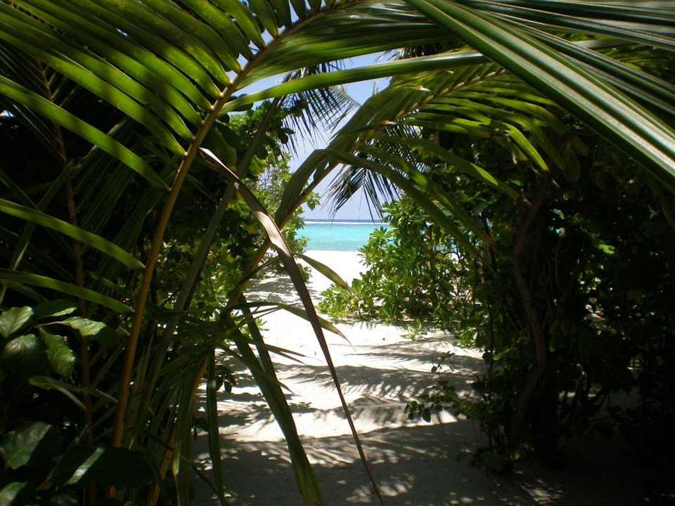 Blick aus dem Restaurant Summer Island Maldives