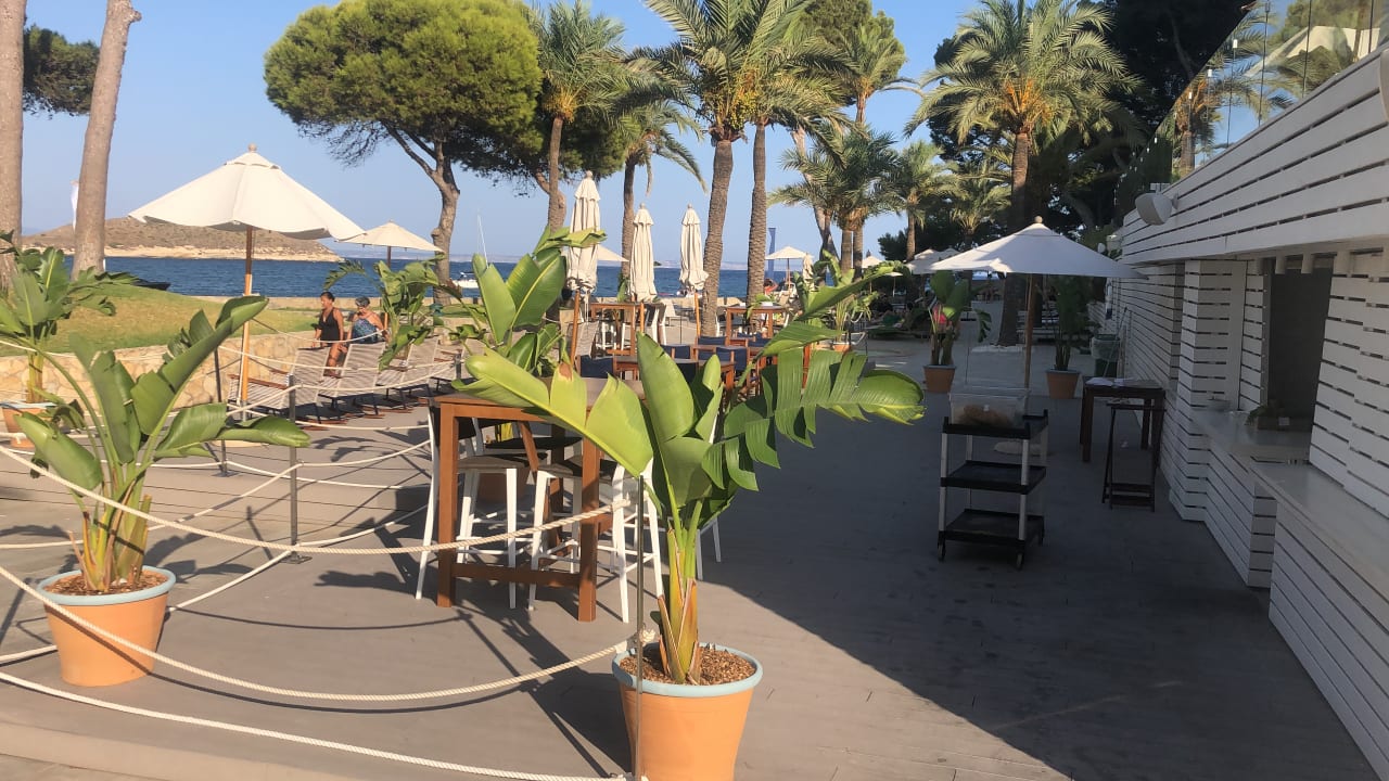 Gartenanlage Meliá Calviá Beach