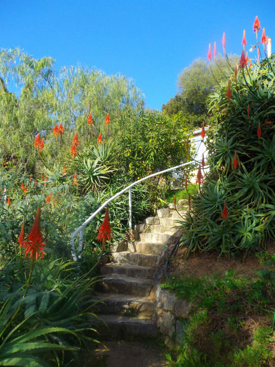 Road / access stairs to a one bedroom bungalow Motel Les Amandiers