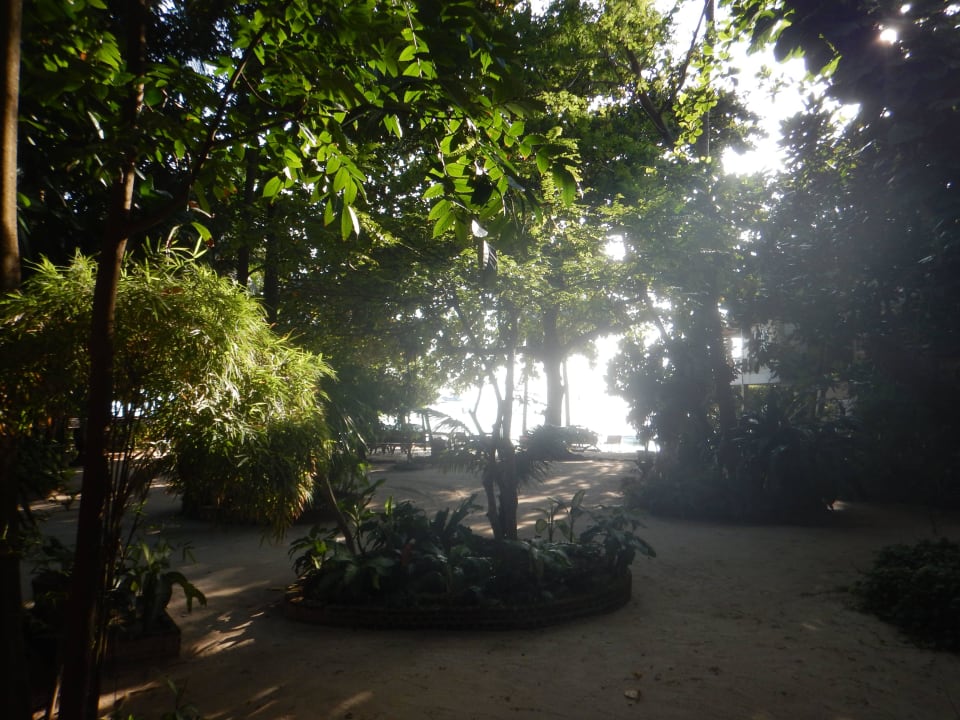 Garten Hotel Big Fish Resort