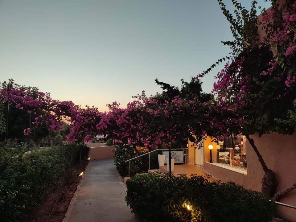 Gartenanlage Anissa Beach & Village