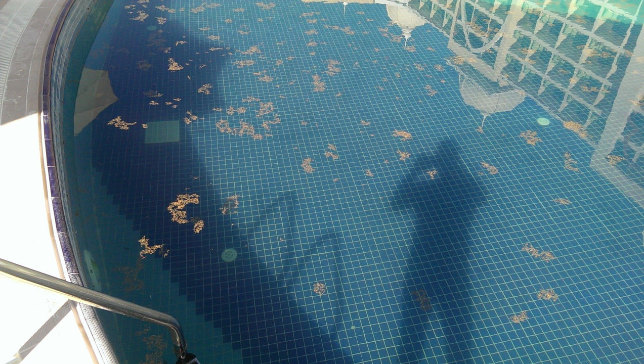 Ekelhaft das Wasser Alan Xafira Deluxe Resort & Spa