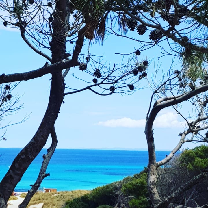 Ausblick VIVA Cala Mesquida Suites & Spa 16+