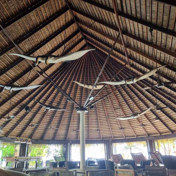 Gastro Kuredu Island Resort & Spa