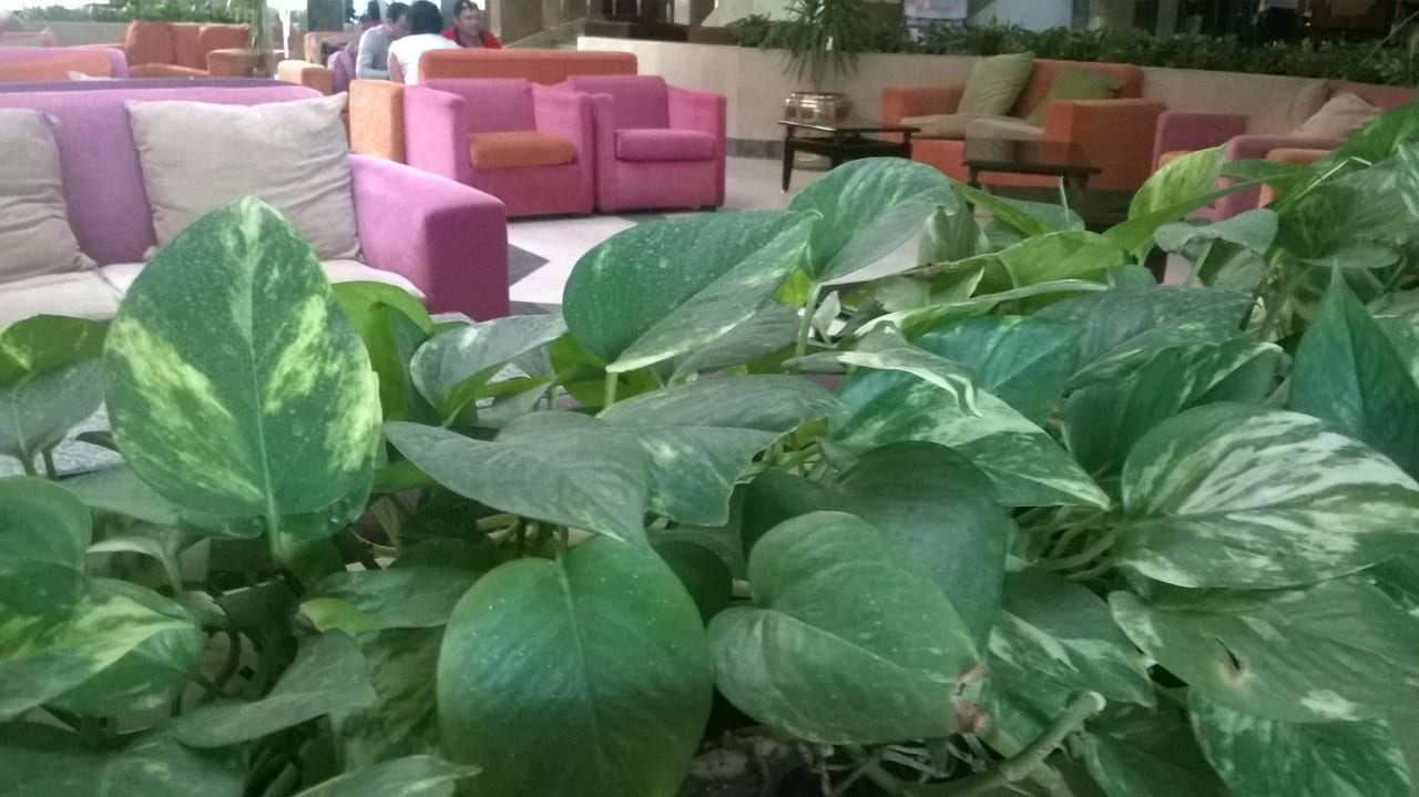 Уютное фойе! Marlin Inn Azur Resort