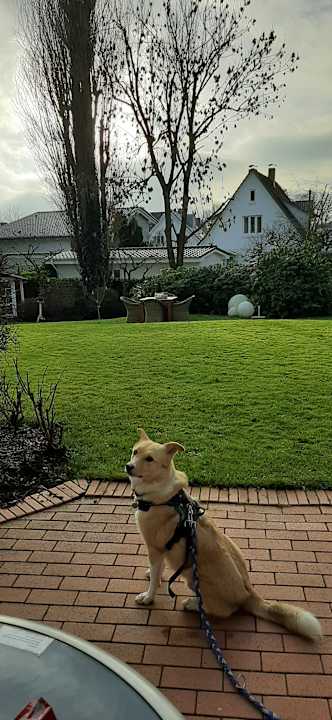 Gartenanlage Techt's Apartmenthaus