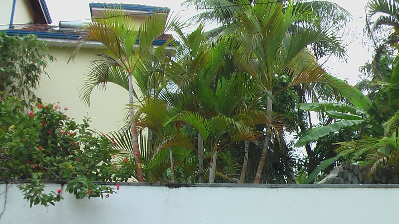 Strassenseite Villa Butterfly