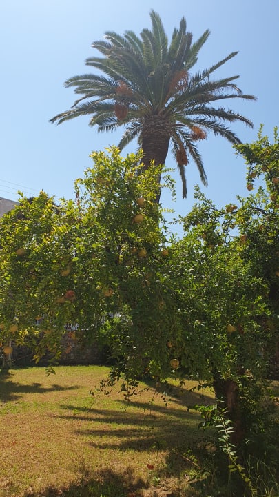 Gartenanlage Civitel Creta Beach