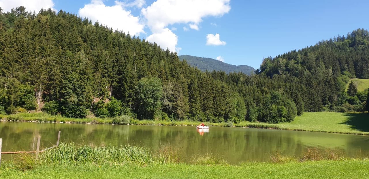 Sport & Freizeit Bio & Gesundheitsbauernhof Pilgramhof