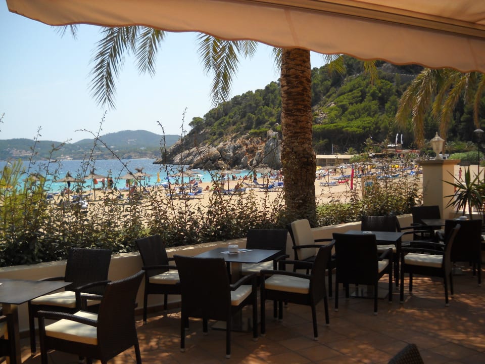 Vista dal giardino bar Grupotel Imperio Playa