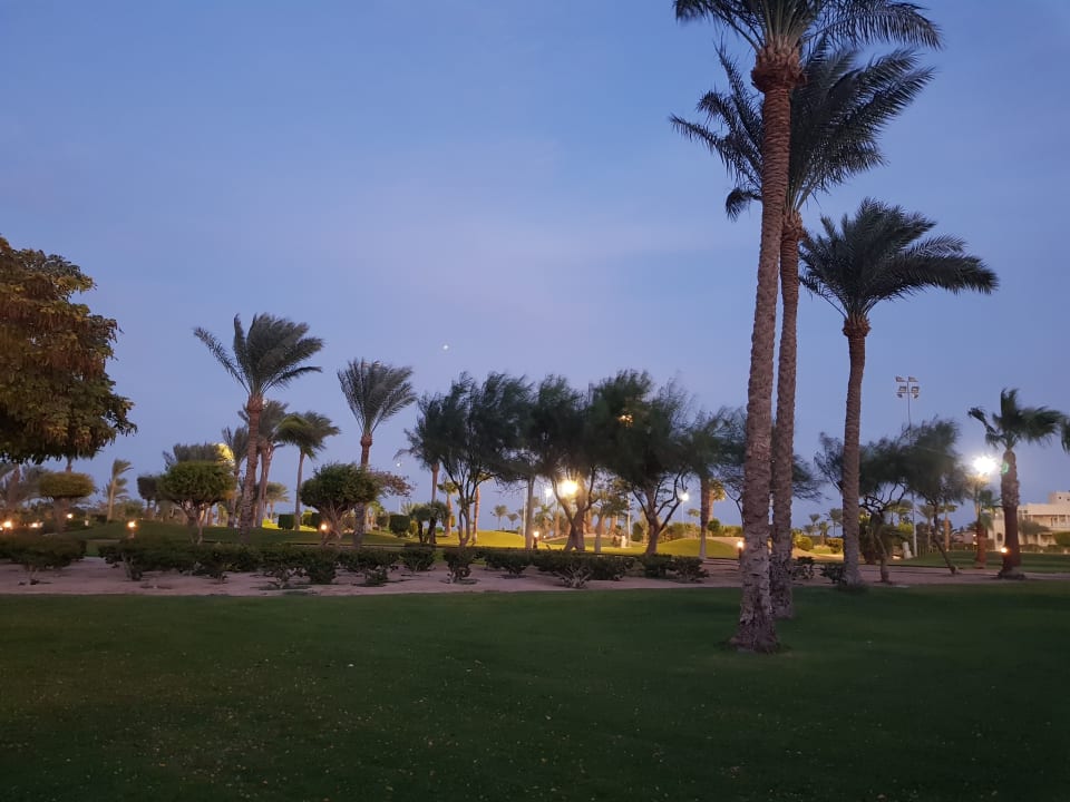 Gartenanlage Steigenberger Aqua Magic