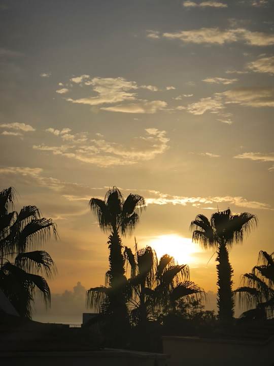 Ausblick Dream Family Club