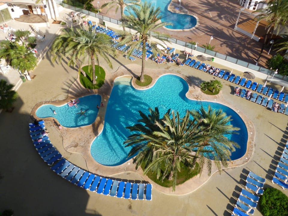 Der Pool mit vielen Liegen und Schirmen Aparthotel Playa Dorada