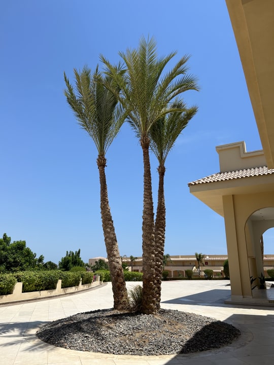 Außenansicht Cleopatra Luxury Resort Makadi Bay