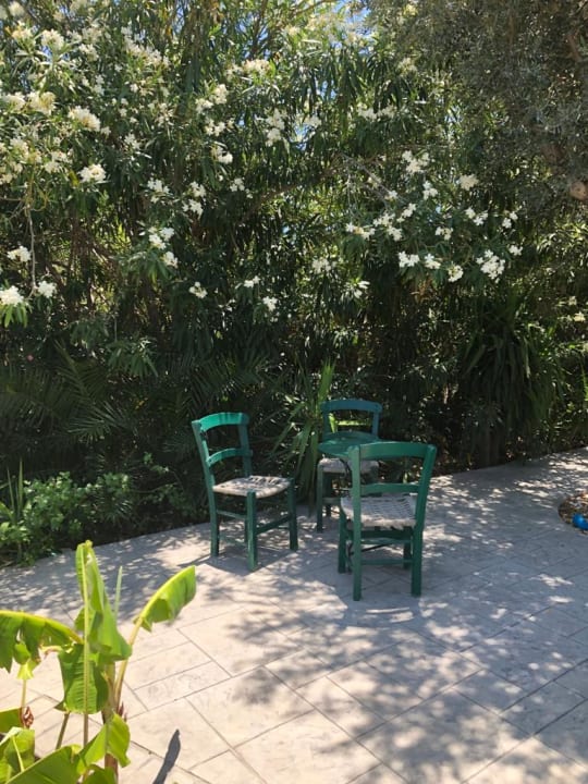 Gartenanlage Irene Palace Beach Resort Club alltoura