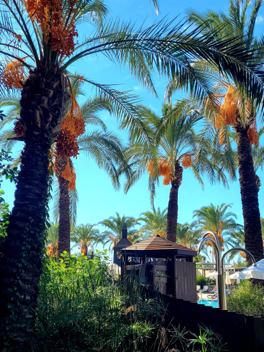 Ausblick Sunis Kumköy Beach Resort Hotel & Spa