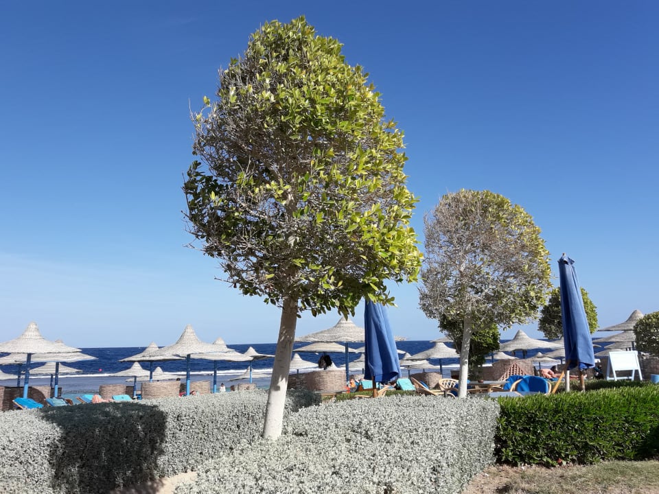 Strand Akassia Swiss Resort