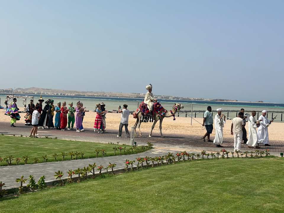 Strand JAZ Elite Asteria