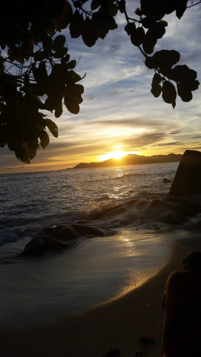 Meega Sonnenuntergang  Le Domaine de l'Orangeraie