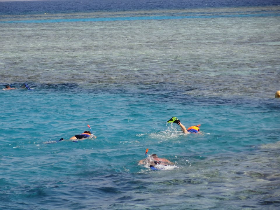 Под водой самое интересное Stella Garden Resort & Spa, Makadi Bay