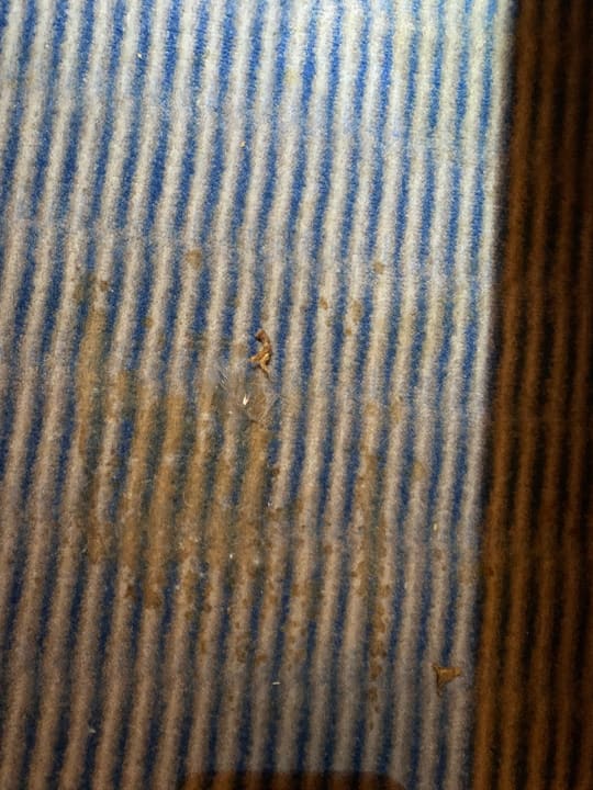 Zimmer H+ Hotel Köln Brühl