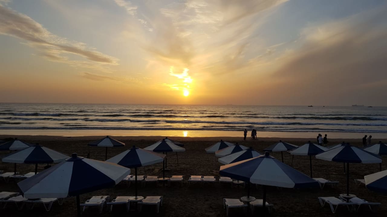 Strand Les Dunes d'Or