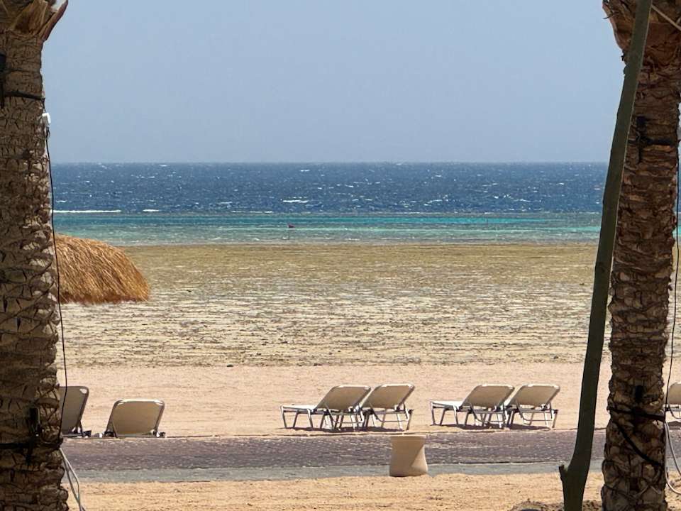 Strand JAZ Elite Asteria