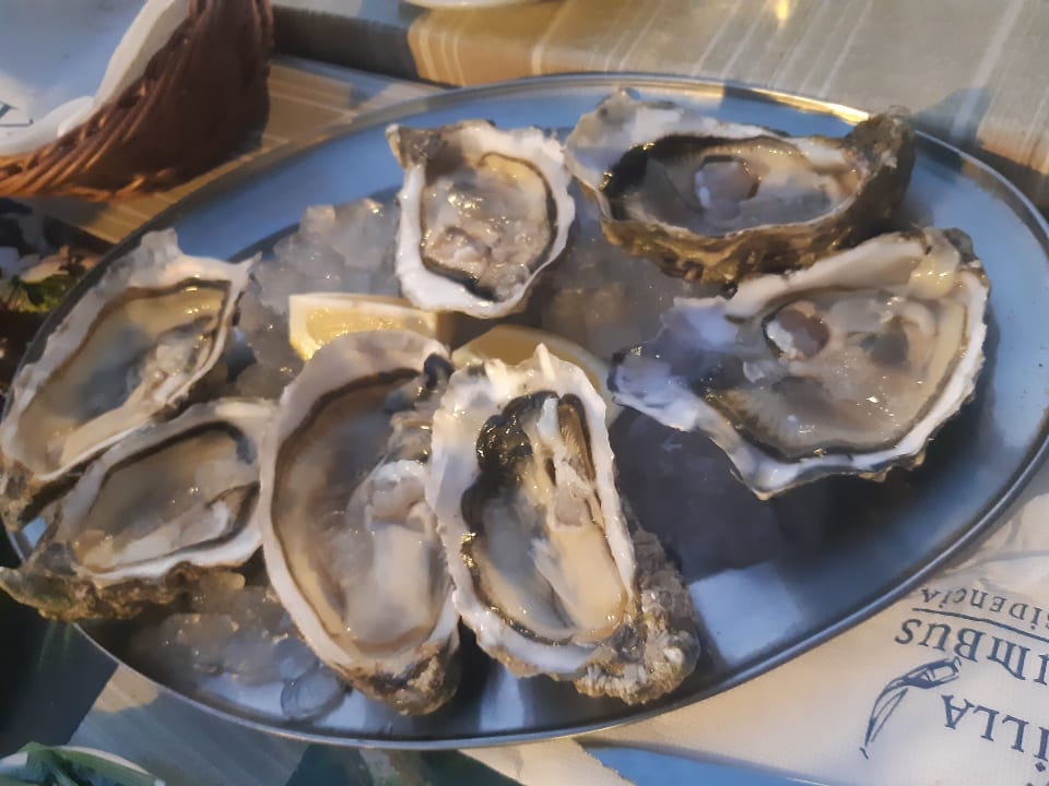 Gastro Villa Columbus Rooms and Restaurant