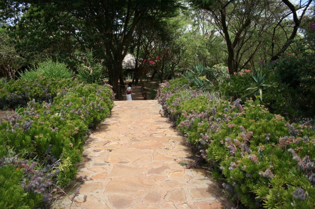 Ogród Hotel Amboseli Sopa Lodge