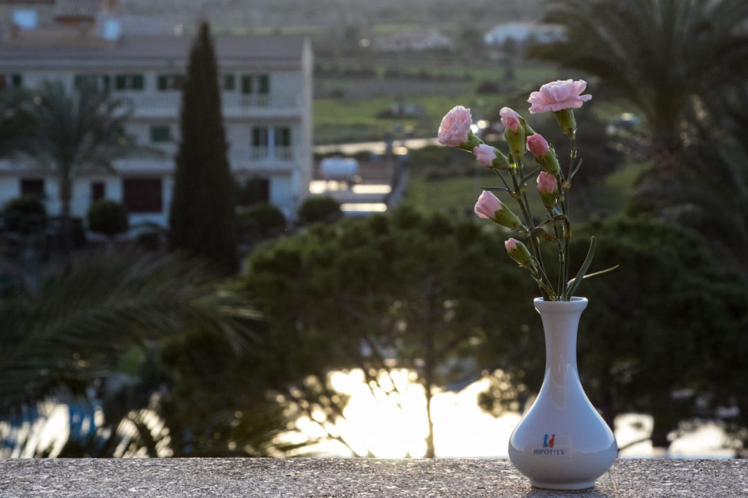 Vom Balkon Hipotels Hipocampo Palace & Spa