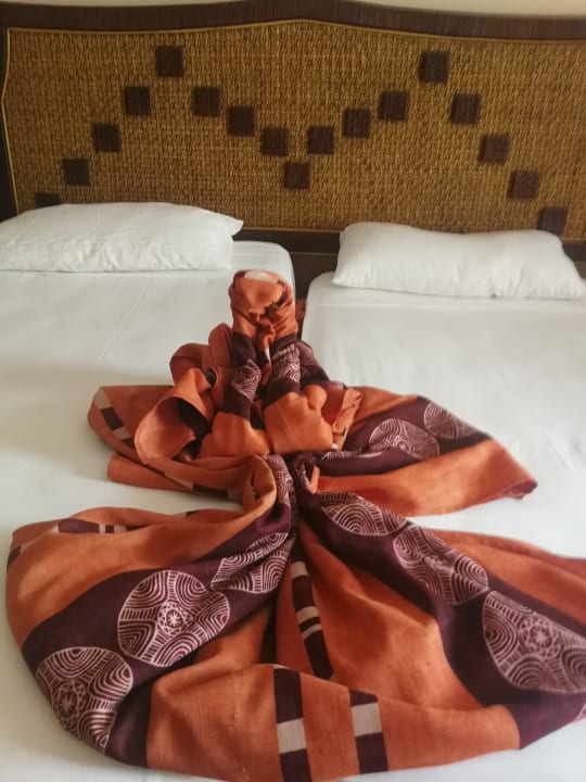 Zimmer Hotel Riu Touareg