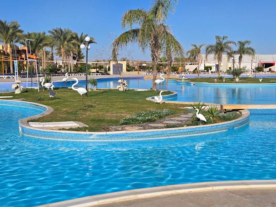 Pool Malikia Resort Abu Dabbab