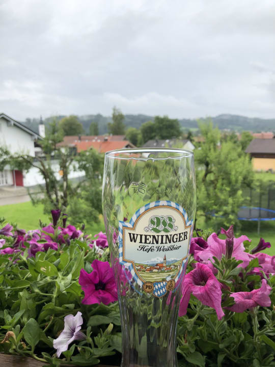 Ausblick Ferienwohnung Kammeringer Hof