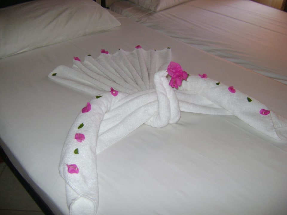 Unsere frischen Handtücher Jaz Makadi Oasis Resort