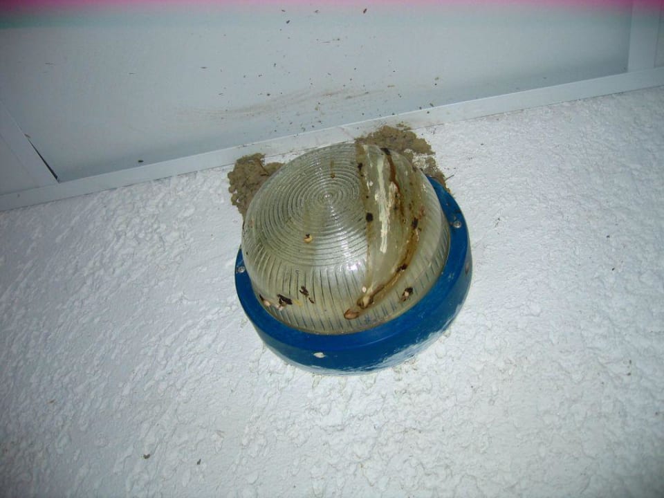 Der Rastplatz der Schwalben - im Flur! alltoura Club Hotel Poseidon Palace