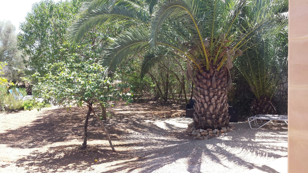 Garten Fincahotel Son Baro