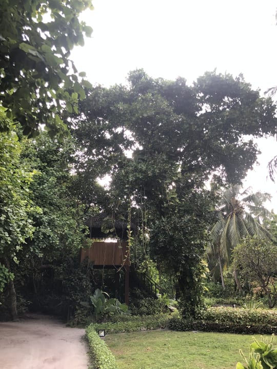Gartenanlage Adaaran Select Meedhupparu Island Resort - Premium All Inclusive