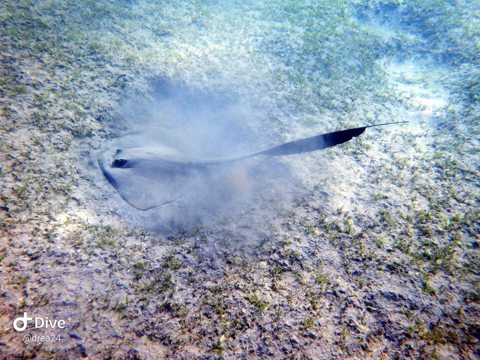 Sport & Freizeit Shams Alam Beach Resort