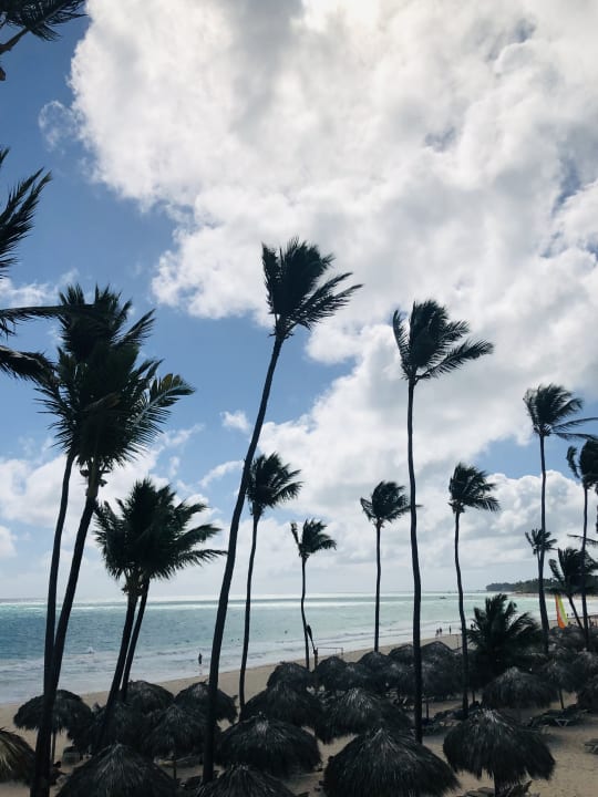 Strand Caribe Deluxe Princess