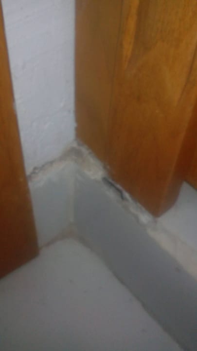 Ecken im Zimmer Desert Rose