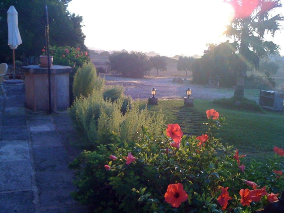 Früher Morgen im Oktober Finca Es Carbó