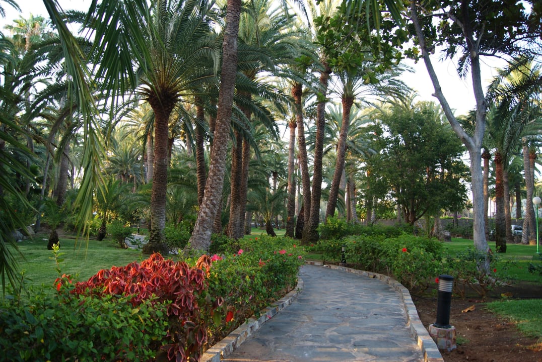 Nur ein kleiner Teil des rießen Palmengartens Hotel Riu Palace Oasis