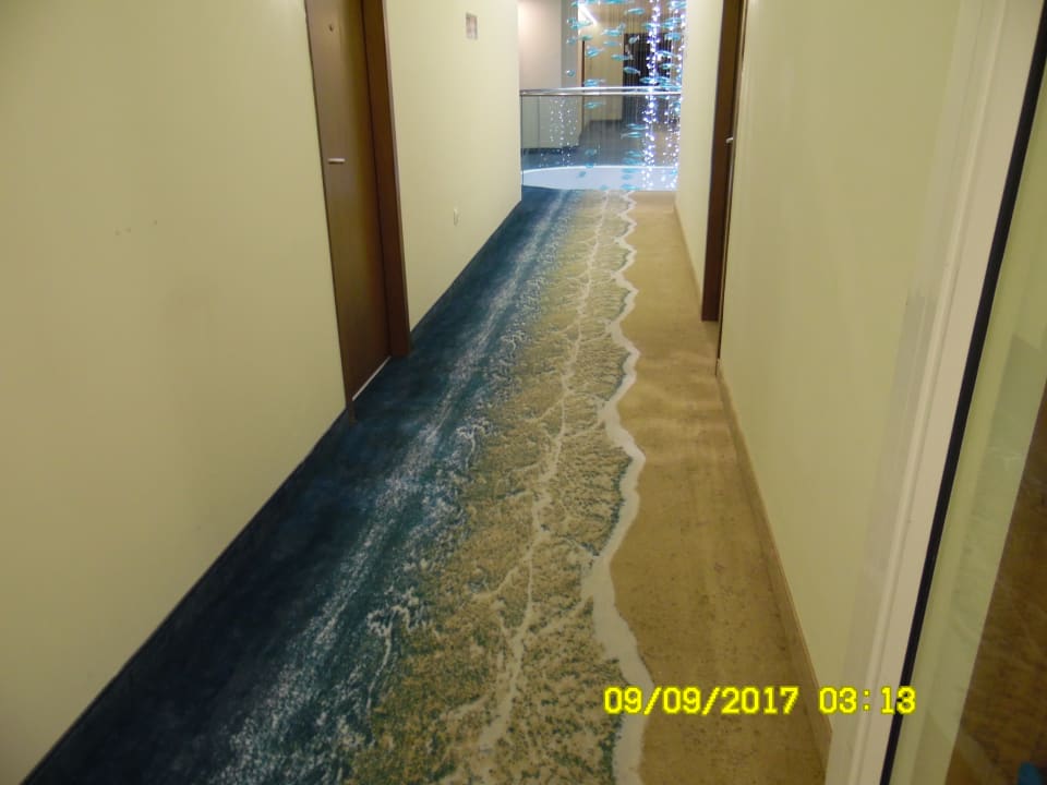 Sonstiges Sentido Marea