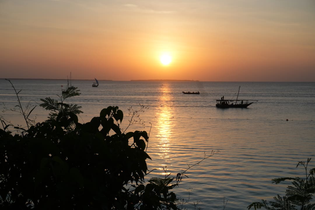 Ausblick Hotel Riu Palace Zanzibar