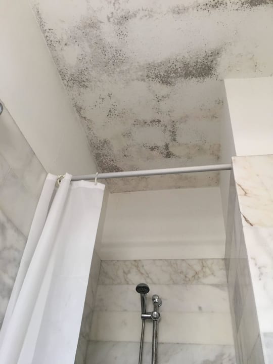 Alles verschimmelt - unzumutbar Hotel Altinkaya