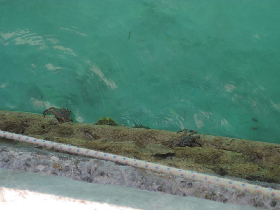 Am Jetty Kuredu Island Resort & Spa