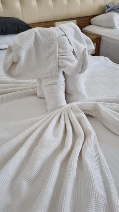 Zimmer Blue Diamond Alya